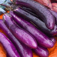 Purple Eggplant Sweet Vegetable Seeds for Planting - Heirloom and Non-GMO Garden Seeds