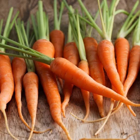 Little Finger Carrot Seeds for Planting heirloom & Non-GMO Seeds
