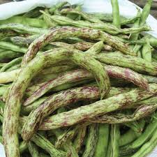 Rattlesnake Beans Vegetable Seeds for Planting heirloom & Non-GMO Seeds