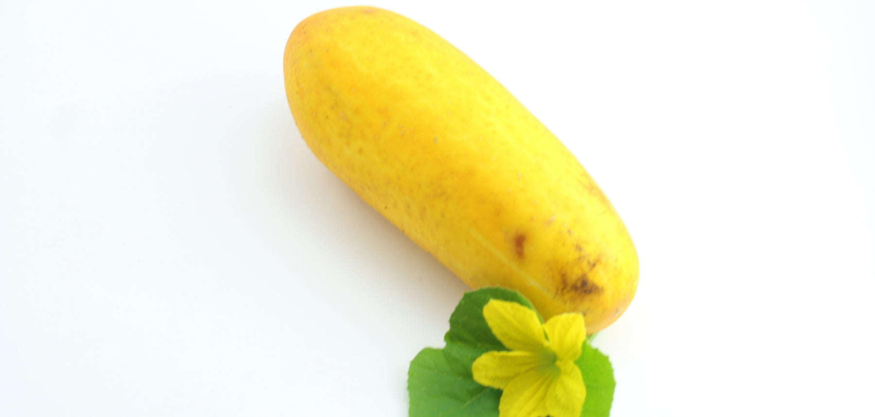Heirloom Cucumber Grape Jelly Vegetable Seeds for Planting - Non-GMO Garden Seeds