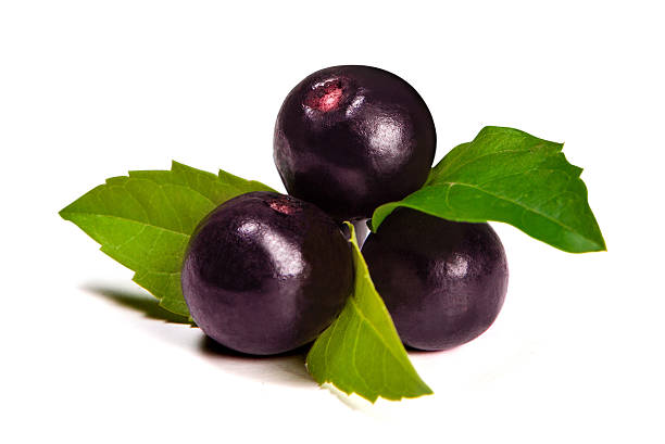 Acai Fruit Seeds for Growing Nutrient-Rich Berries 100 Pcs pcs