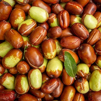 Jojoba ornamental shrub seeds for xeriscapes and outdoor garden planting.