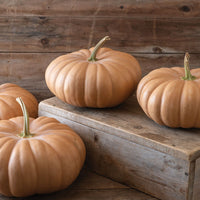 Long Island Cheese Squash heirloom seeds for home garden planting