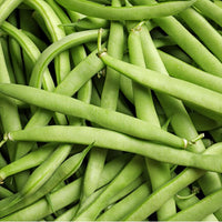 Missouri Wonder Pole Bean vegetable seeds for kitchen gardens and containers.