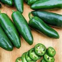 Healthy Nadapeno Jalapeño Pepper plants growing in a vegetable garden
