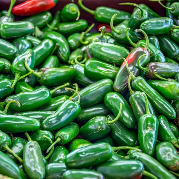 Nadapeno Jalapeño Pepper Seeds for Home Garden Planting | Heirloom Non-GMO