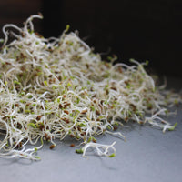 Organic birdseed mix for backyard bird feeders and outdoor feeding.