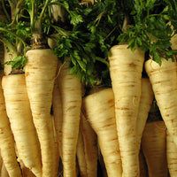 Hamburg Parsley Vegetable Seeds for Planting - 100 Pcs pcs