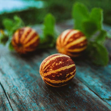 Rich Sweetness Melon heirloom seeds for home garden planting