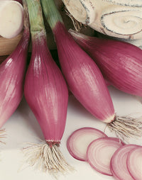 Fresh Rossa Lunga Torpedo Red Onions