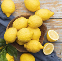 Meyer Lemon Fruit Seeds