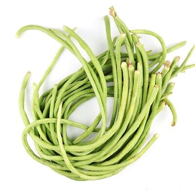 100 Pcs