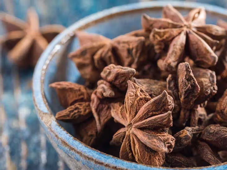 Star Anise Seeds for Home Gardens | Ornamental Flowering Tree Heirloom GMO-Free Variety