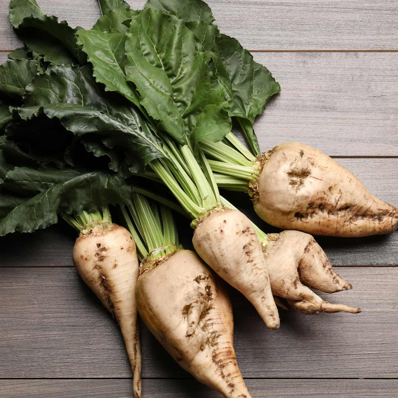 Sugar beet seeds for home vegetable garden planting