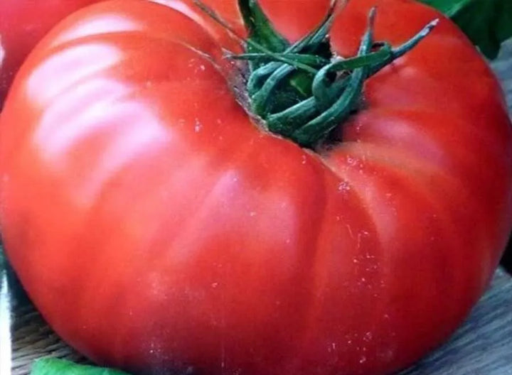 Light Red Gaint Tomato Seeds for Planting, 100 Pcs pcs
