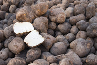 Yam Vegetable Seeds for Planting heirloom & Non-GMO Seeds