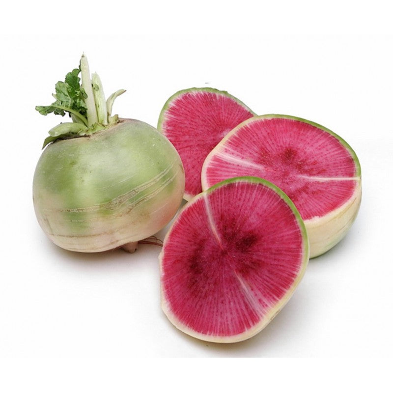 Watermelon radish fruit seeds for healthy garden