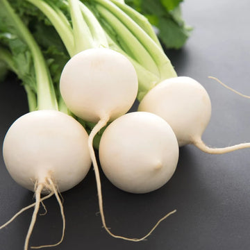 White Globe Round Turnip Seeds for Planting – Heirloom Non-GMO Root Vegetable Seeds