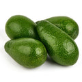 Zutano avocado fruit seeds